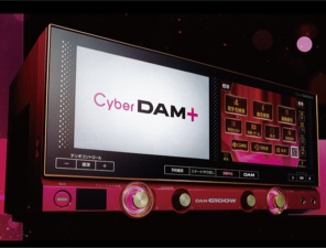 CyberDAM+